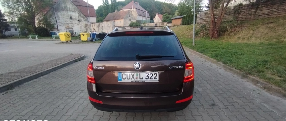 Skoda Octavia cena 40800 przebieg: 182000, rok produkcji 2015 z Złotoryja małe 704